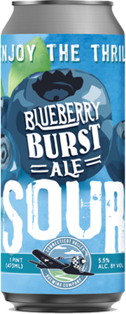 Blueberry Burst Ale
